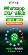 全球精准引流，助力您的业务迈向新高峰！