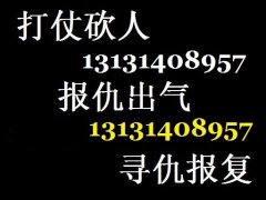 社会打手 替人解决情感纠纷13131408957