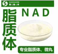 烟酰胺腺嘌呤二核苷酸