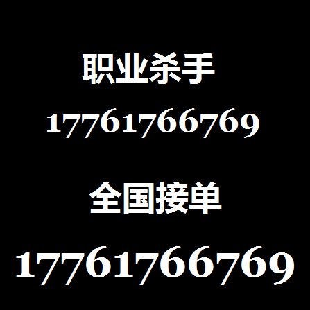专业打手 帮人打架复仇17761766769